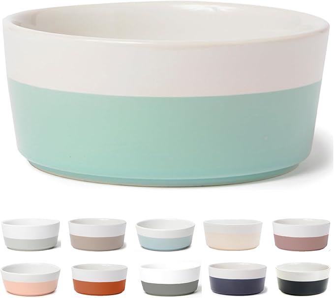 Waggo Dipper Ceramic Dog Bowl for Small and Large Breeds - Heavyweight and Durable Pet Food and Water Dish Crock, Dishwasher Safe, Modern (Mint, Small)
