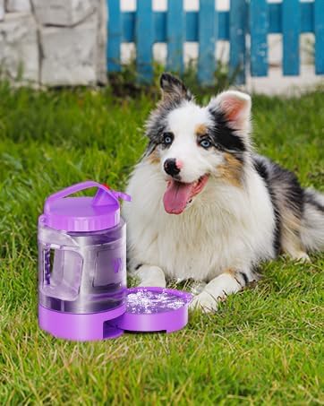 77oz Large Dog Water Bottle - Portable Travel Dog Water Dispenser & Bowl - Leak-Proof Pet Water Jug for Hiking, Camping, Walking & Car Trips, Purple