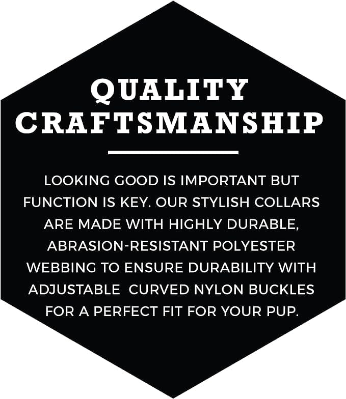Wolfgang Heavy Duty, Adjustable Dog Collar with Quick Release Nylon Buckle for Walking & Training, PackLeader Print, Small