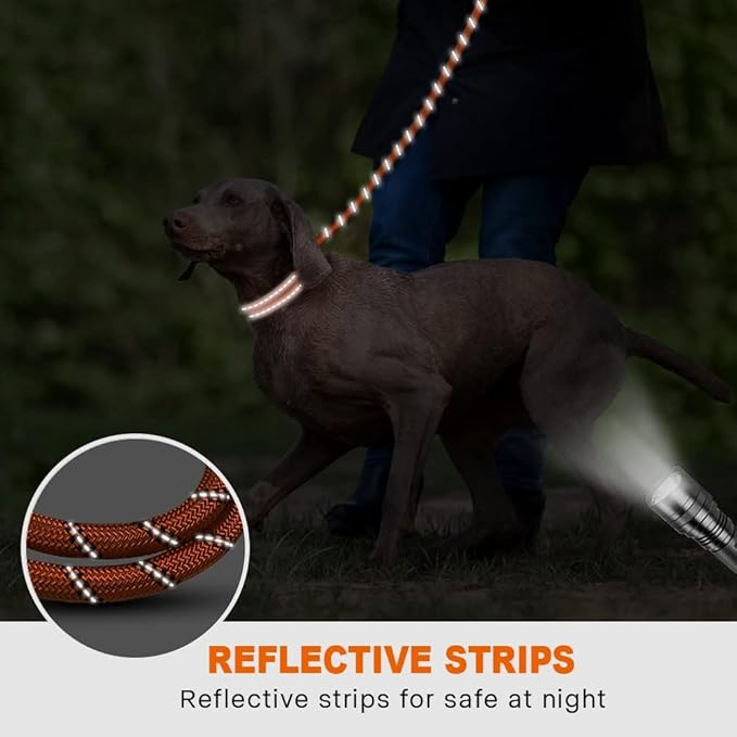 Taglory Rope Dog Leash 5 FT with Comfortable Padded Handle, Highly Reflective Threads Leash for Medium Large Dogs, 1/2 inch, Orange