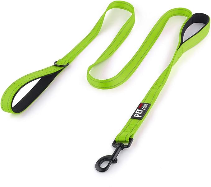 Plutus Pet Double Handle Dog Leash 6ft Long, Padded 2 Handle, Heavy Duty, Reflective Training Leash for Medium Large Dogs, Dual Handle Lead (Green)