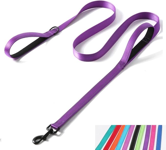 Reflective Nylon Dog Leash Heavy Duty, Two Handles with Padded for Extra Control Outside Durable Training Lead for Small Medium Large Breed Pet Dogs, 4ft Long 1-inch Width, Dark Purple