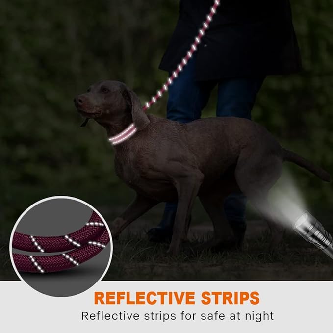Taglory Rope Dog Leash 6 FT with Comfortable Padded Handle, Highly Reflective Threads Leash for Medium Large Dogs, 1/2 inch, Hotpink