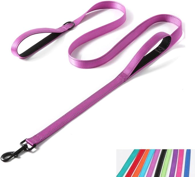 Reflective Nylon Dog Leash Heavy Duty, Two Handles with Padded for Extra Control Outside Durable Training Lead for Small Medium Large Breed Pet Dogs, 5ft Long 1-inch Width, Purple