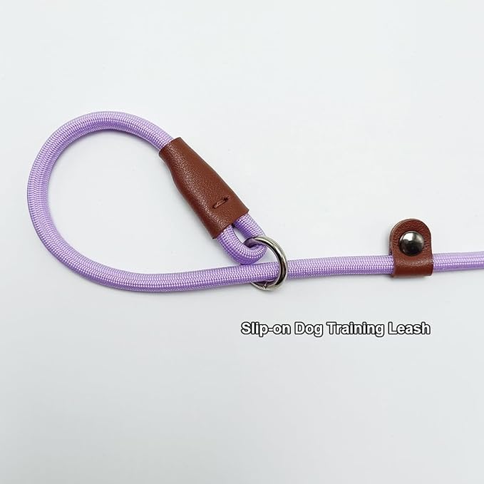BTINESFUL 7FT Slip Lead Dog Leash, Strong Nylon Rope Leash, 1/4 inch Diam Dog Training Lead for Small Medium Pets Puppies, Purple