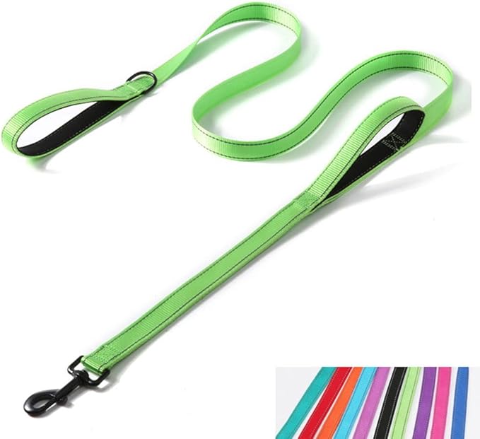 Reflective Nylon Dog Leash Heavy Duty, Two Handles with Padded for Extra Control Outside Durable Training Lead for Small Medium Large Breed Pet Dogs, 4ft Long 1-inch Width, Green