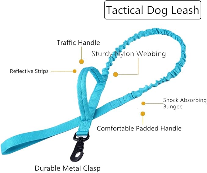 Xqpetlihai Tactical Dog Collar and Leash Set Adjustable Military Nylon Dog Collar with Control Handle and Heavy Duty Metal Buckle for Large Dogs（Blue XXL