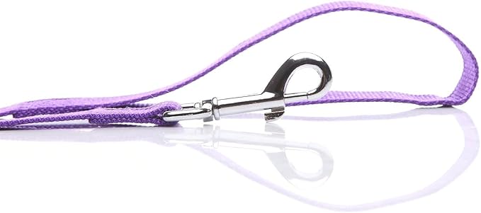 Nylon Dog Leash 8 Feet Long, Walking Training Dog Leashes for Medium Large Dogs