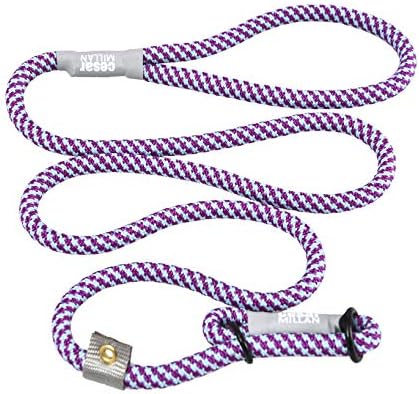 Cesar Millan Slip Lead Leash??- 2-in-1 Slip Collar Dog Training Lead & Collar | Heavy Duty Durable Weatherproof Rope Leash, No Pull Training | Length 4ft Diameter 4/10??Regular, Aqua/Purple)