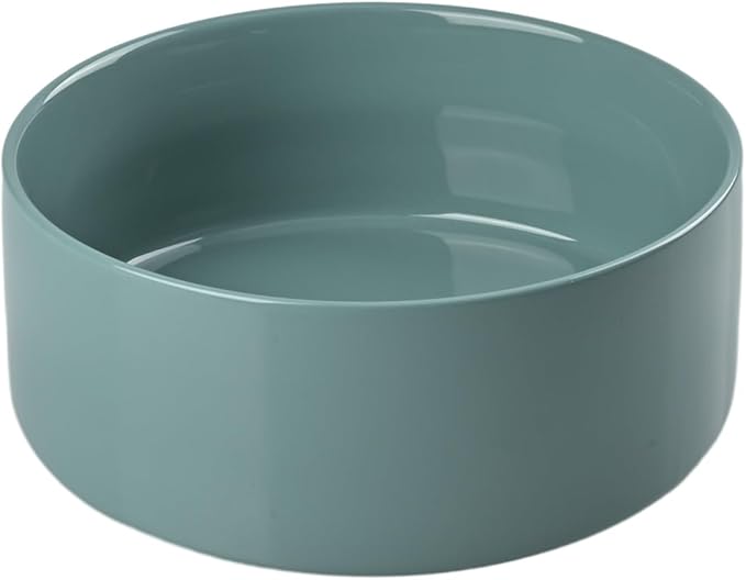 SPUNKYJUNKY 60 OZ Ceramic Dog and Cat Bowl, Modern Cute Weighted Food Water Bowl for Replacement Light Green (1 Pack)