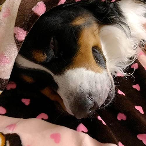SmartPetLove Original Snuggle Puppy Essentials Starter Kit - Heartbeat Puppy for Dogs - Calming Aid with 3 Heat Packs, Puppy Teething Toy, Dog Chew Toy and Dog Blanket