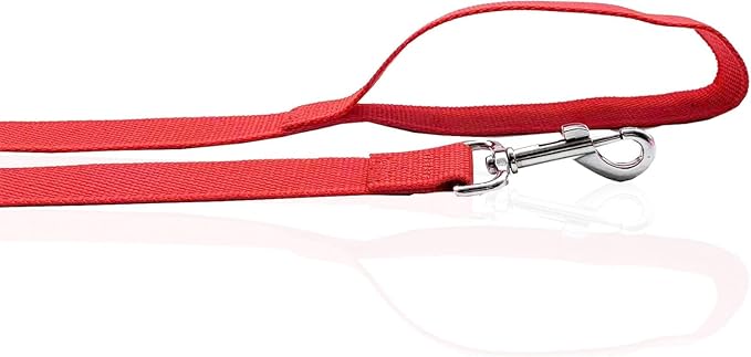 Nylon Dog Leash 8 Feet Long, Walking Training Dog Leashes for Medium Large Dogs