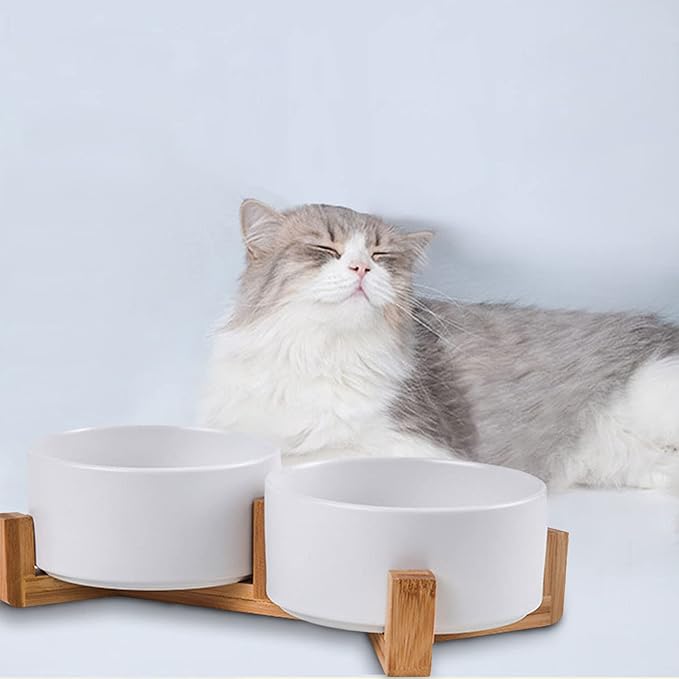 Petygooing Dog Bowls,White Ceramic Cat Dog Bowl Set with Wood Stand for Food and Water Feeder, Modern Pet Dish Set for Cats and Small Size Dogs Puppy (13.5OZ/5.1 in)
