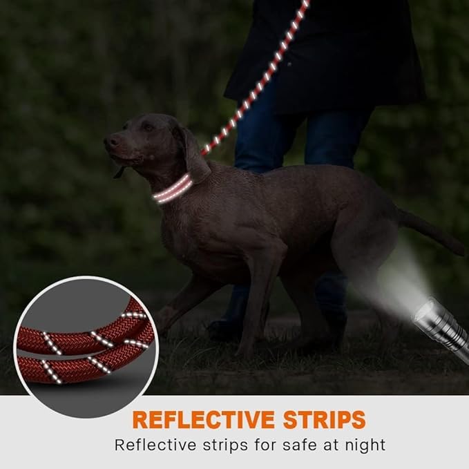 Taglory Rope Dog Leash 6 FT with Comfortable Padded Handle, Highly Reflective Threads Leash for Medium Large Dogs, 1/2 inch, Red