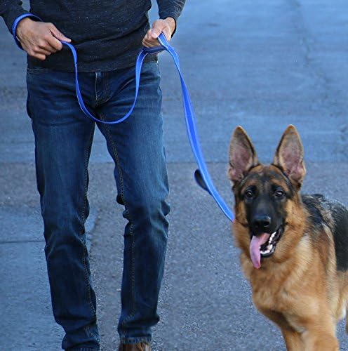 Max and Neo Triple Handle Traffic Dog Leash - Reflective, Donates to Dog Rescue (Black)