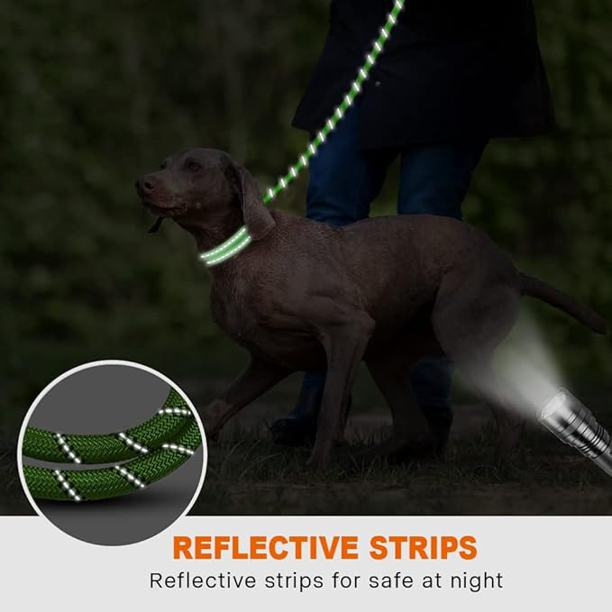 Taglory Rope Dog Leash 4 FT with Comfortable Padded Handle, Highly Reflective Threads Leash for Medium Large Dogs, 1/2 inch, Green