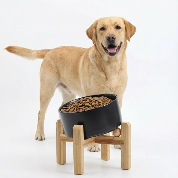 Petygooing Black Elevated/Raised 15° Slanted Ceramic Dog Bowl for Large and Medium Breeds, Pet Anti Slip Feeding Bowl,Food Water Dish with Stand for Large and Medium Dogs (60 OZ / 7.6 Cup)