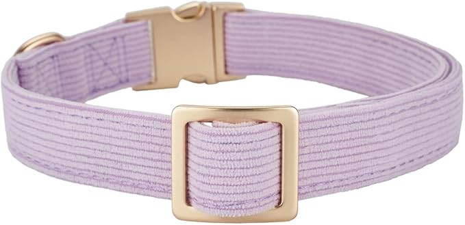 Soft Corduroy Fibric Dog Collar with High Grade Metal Buckle, for Medium Dogs.(Purple,Medium:12-19")