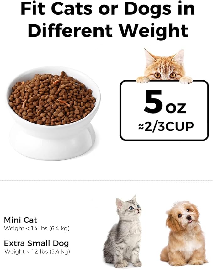 LoeJan Elevated Cat Food Bowl, 5 Oz Ceramic Raised and Tilted Water Bowl, Anti Vomiting and Protect Pets' Spines Dishes for Small Dog, Fat Faced Cat, Kitten (White, 4 Pack)
