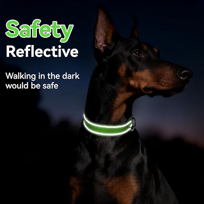 Reflective Dog Collar for Mediunm Dogs, Adjustable Collar with Soft Neoprene Padded, Durable Buckle for Daily Walking,Green,M, 1" Width