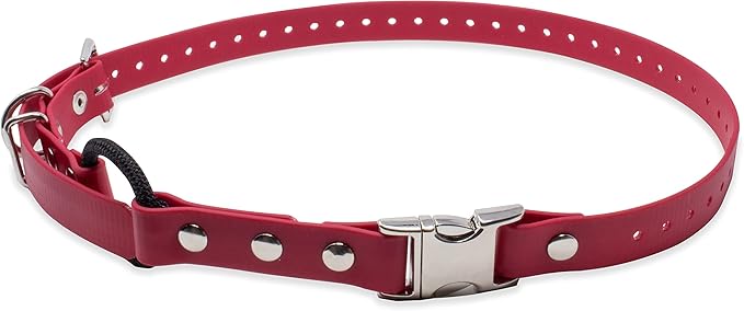 Educator Quick Snap Bungee Dog Collar, Biothane Waterproof & Odorproof, Easy Connect Clasp & D-Ring, Comfort Loop, Trim to Fit, 3/4-Inch, Red – Fits ME-300, ET-300/400, EZ-900, PE-900, PG-300