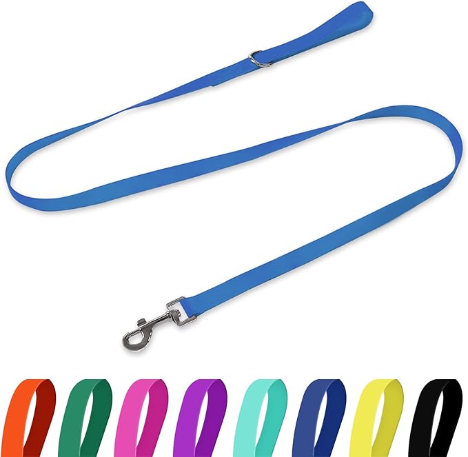 Waterproof Dog Leash, 5/6 FT Durable Odor-Proof Dog Leashes with Strong Metal Hooks Fits Small Medium or Large Dogs (Blue, 6FT - 1 inch Width)