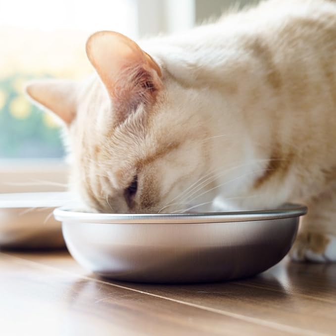Stainless Steel Cat Bowl for Food & Water by Americat – Made in USA – Dishwasher Safe, Human Grade, Whisker Friendly Dish (1 Bowl)