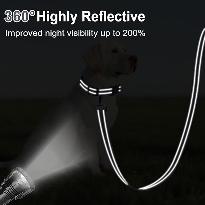Reflective Dog Leash 4ft Soft Padded Handle Nylon Lead for Small & Medium Dogs, Durable Walking Training Leash for Night Safety (Gray,1Inch Wide)