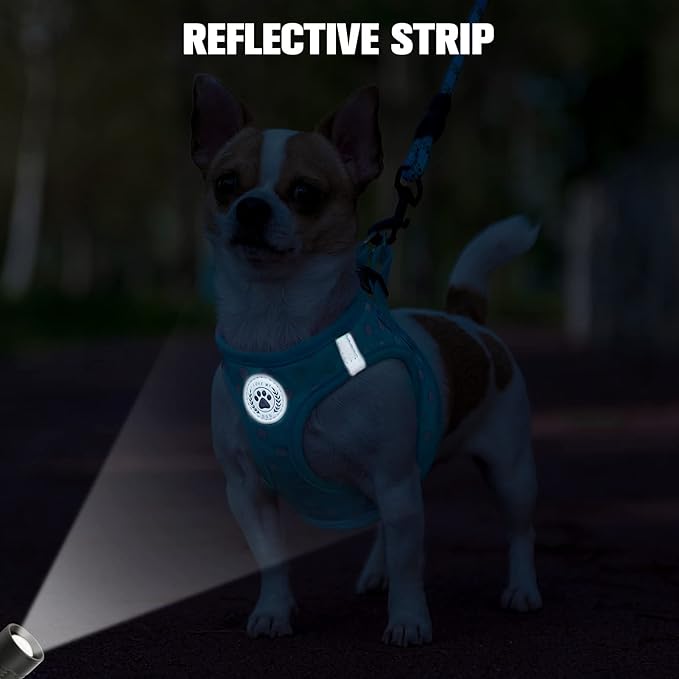 BEAUTYZOO Step in Dog Harness and Leash Set, Polka Dot Pattern Reflective Dog Harness No Pull No Choke Puppy Harness for XXS XS S Dogs Cats, Soft Padded Mesh Vest Harnesses for Girl and Boy Pets