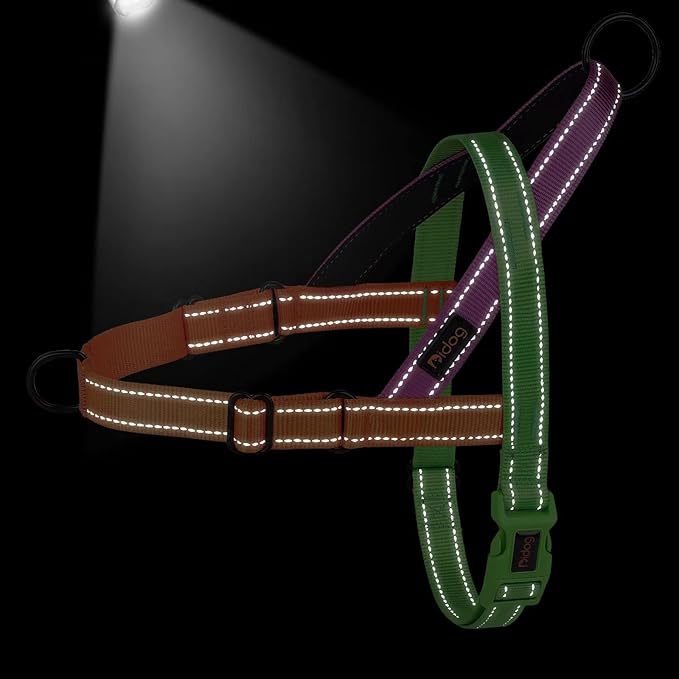Didog No Pull Dog Harness with Soft Padded Handle, Quick Fit & Lightweight Adjustable Vest Harness, Easy for Training Walking for Small & Medium and Large Dogs(Green,L)