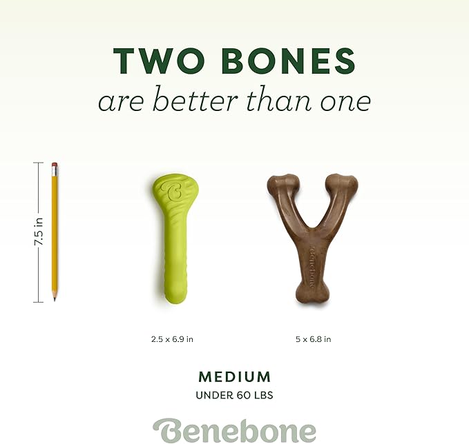 Benebone 2-Pack Bacon Wishbone/Rubber Bone Medium