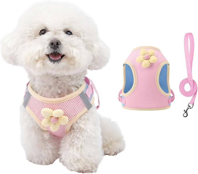 Floral Mesh Dog Harness with Matching Leash, Lightweight Pet Vest,Suitable for Small and Medium-Sized Cats and Dogs to Wear， Pink/Yellow (Pink, M:12-15lbs)