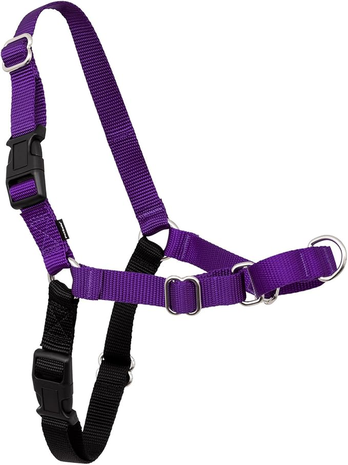 PetSafe Easy Walk Harness for Dogs - Pull-Free Walks - Patented Martingale Loop Design - Front Chest Leash Attachment - Comfort Straps - Breathable Harness Design - Small/Medium, Deep Purple/Black