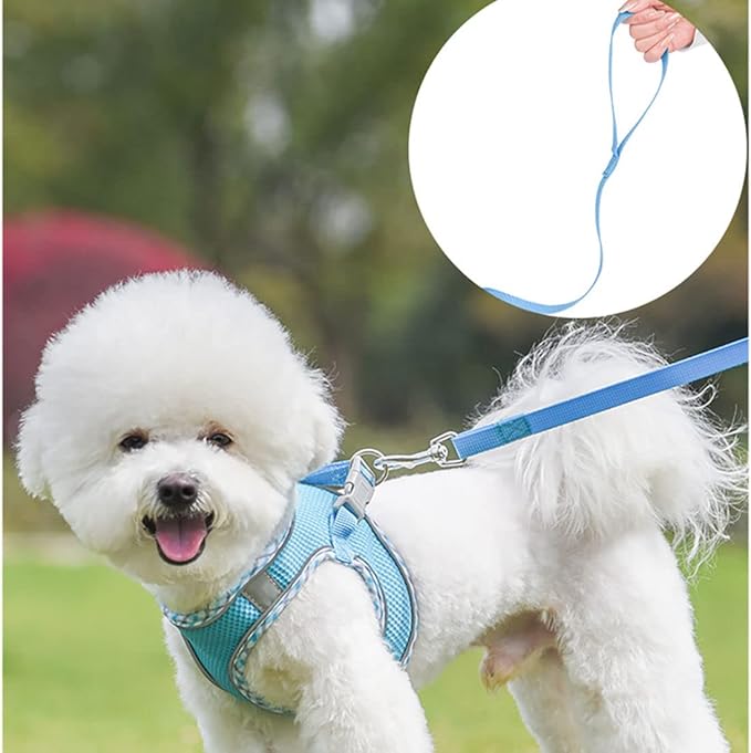 Harness Small Sized Dog, No-Pull Puppy Vest with Leash Set, Breathable Mesh Reflective Pet Harnesses for Outdoor Walking for XXS Xs Small Medium Breed Dogs Cats, Pink-Plaid XSmall