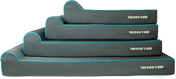 The Dog’s Bed Orthopedic Memory Foam Dog Bed with Headrest, Oxford Fabric, Grey with Blue Trim, L, 6-Inch