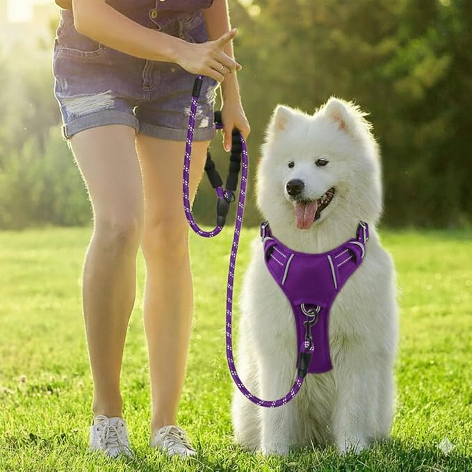 BARKBAY Dog Harness No Pull Oxford with ID Tag Pocket - Heavy Duty, Reflective, Easy Control for Large Dogs(Purple Oxford,XS)