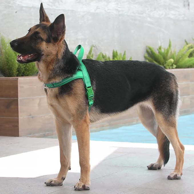 Plutus Pet No Pull Dog Harness with Breathable Mesh Padded, Adjustable Reflective Escape Proof Dog Harness, Quick Fit Dog Vest Harness for Small Medium Large Dogs(L, Green)