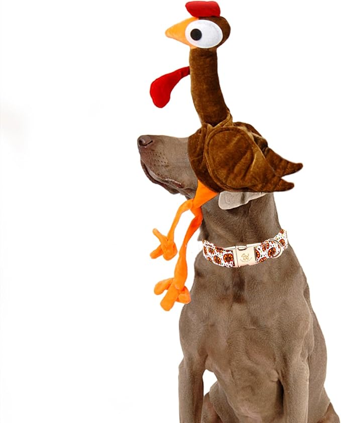 Elegant little tail Thanksgiving Dog Collar, Turkey Print Pet Collar Dog Durable Cute Dog Collars Winter Holiday Male or Female Pet Gift Adjustable Dog Collar for Large Dogs