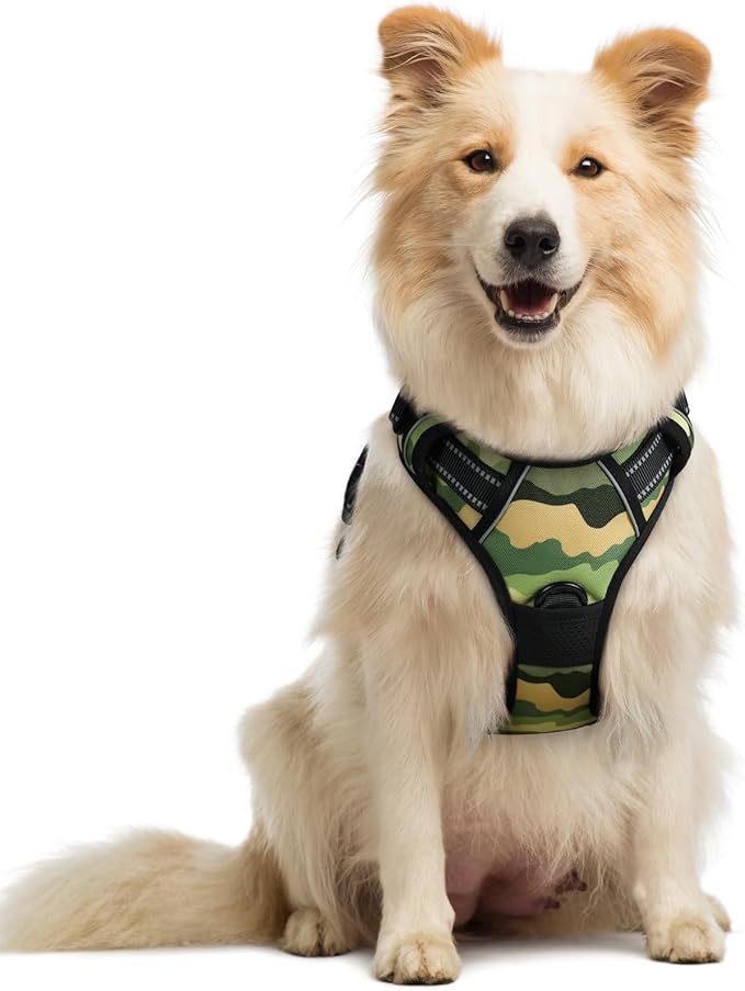 rabbitgoo Dog Harness No Pull with 2 Leash Clips, Adjustable Soft Padded, Reflective Oxford No Choke Pet Vest with Easy Control Handle for Large Dogs, Green Mountain, M