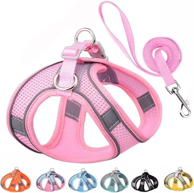 Small Dog Harness and Leash Set, No-Pull Reflective Puppy Harness for Outdoor Walking, Breathable Mesh Girl Cats Vest for XXS Xs Small Medium Female Pet Dogs, Pink XXS