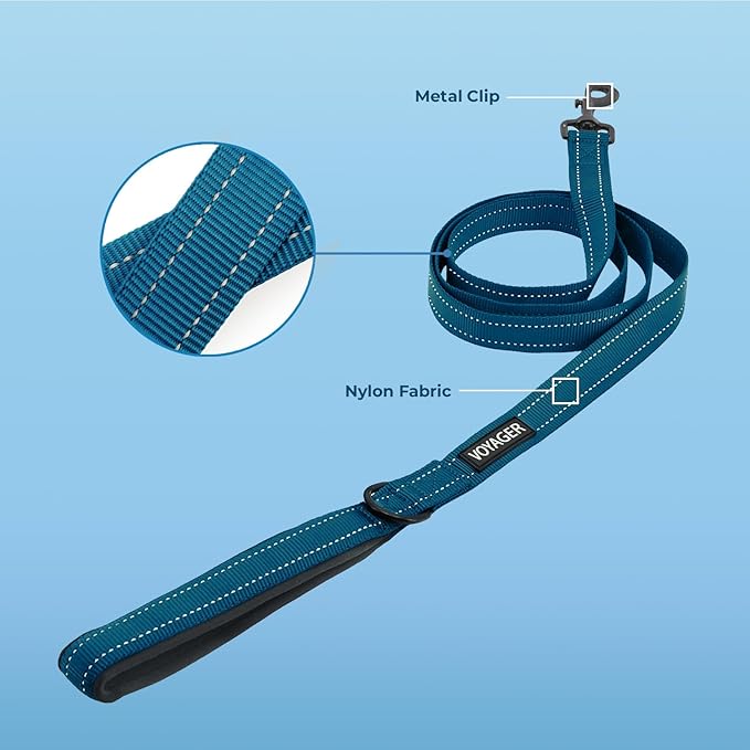 Best Pet Supplies Voyager Reflective Dog Leash or Collar with Neoprene Handle, for Small, Medium, and Large Breed Puppies, Cute and Heavy Duty for Walking, Running and Training - Blue (Leash), M