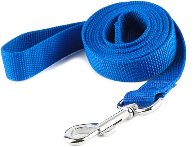 Nylon Dog Training Leash, Traction Rope, 4Ft /5 Foot /6 Feet Long, 5/8 inch 3/4 Inch 1 Inch Wide, for Small and Medium Dogs (Blue, 1'' x 15 FT)