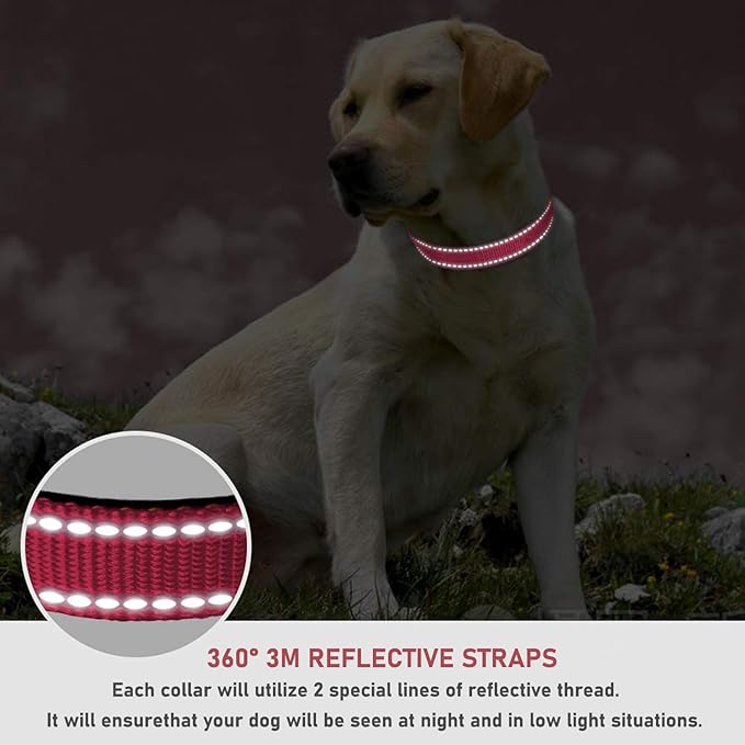 Reflective Dog Collar with Buckle Adjustable Safety Nylon Collars for Small Medium Large Dogs, Light Pink XS