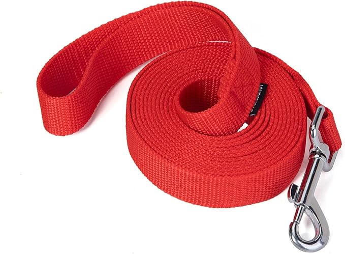 Strong Durable Nylon Dog Training Leash, 1 Inch Wide Traction Rope, 6 ft 10ft 15ft Long, for Small and Medium Dog (Red, 10 Feet)