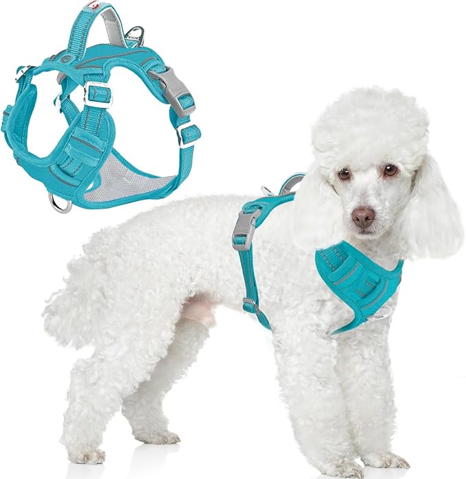 BARKBAY Dog Harness No Pull Oxford with ID Tag Pocket - Heavy Duty, Reflective, Easy Control for Large Dogs(Aqua Oxford,S)