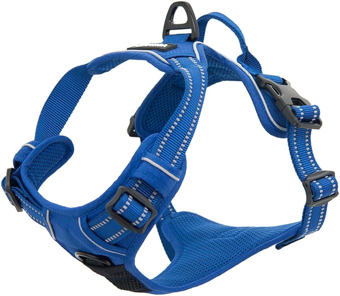 Voyager Dog Harness Dual Leash Attachment No-Pull Control Adjustable Soft but Strong Pet Harness for Medium and Large Dogs with 3M Reflective Technology, Royal Blue Lattice Nylon, L (Chest: 25-30")