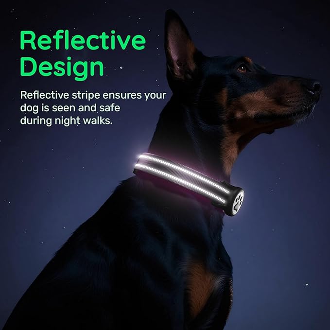 Airtag Dog Collar, Reflective Ultra-Durable Nylon Padded with QR Buckle & IP68 Waterproof Air Tag Holder Compatible for Apple AirTag, Comfortable for Small Medium Large Dogs (Purple, XS)