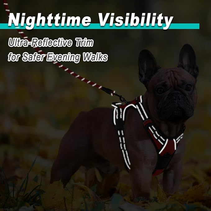 BARKBAY Dog Harness No Pull for Small Dogs - Adjustable, Reflective, Comfortable, No Choke, Heavy-Duty - Perfect for Outdoor Training, Walking, and Hiking - Strong & Durable - XS & Red