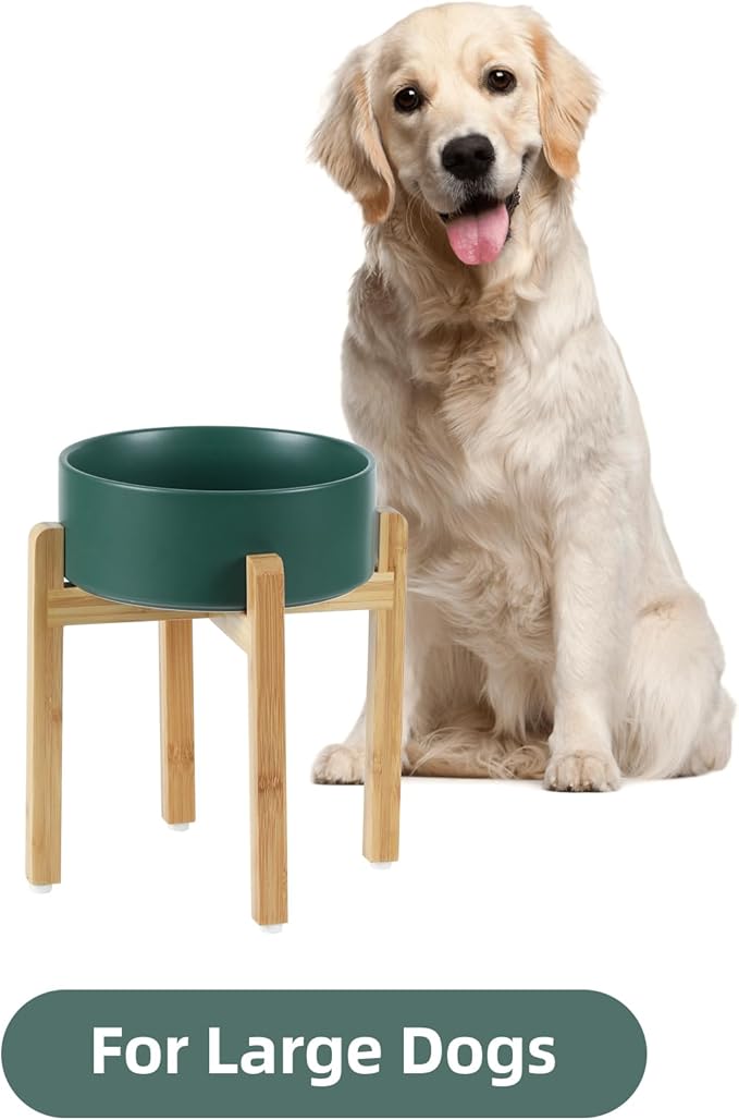 Ceramic Raised Dog Bowl Set, Elevated Dog Bowl with Stand, Food and Water Bowl for Large Breed Dogs, Weighted Pet Dishes(8.2'',60oz, Green)