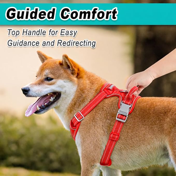 BARKBAY Dog Harness No Pull Mesh for Small Dogs - Adjustable, Reflective, Comfortable, No Choke, Heavy-Duty - Perfect for Outdoor Training, Walking, and Hiking - Strong & Durable - XS & Red Mesh